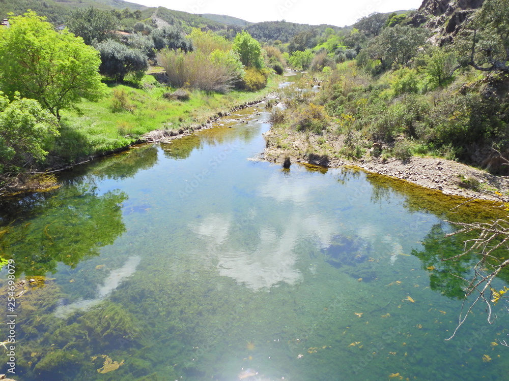 Stream in Algarve, Portugal: Ribeira do Beliche