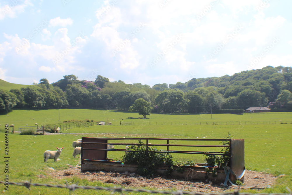 Obraz premium old farm house in the mountains