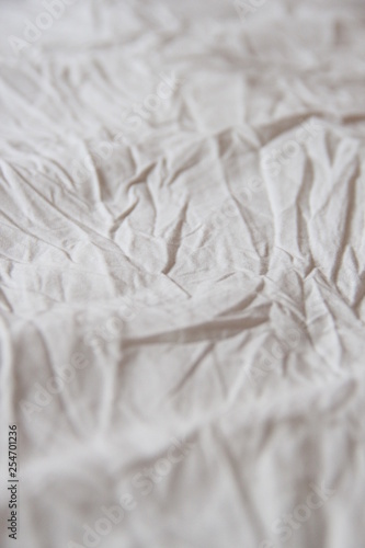 closeup of white wool texture