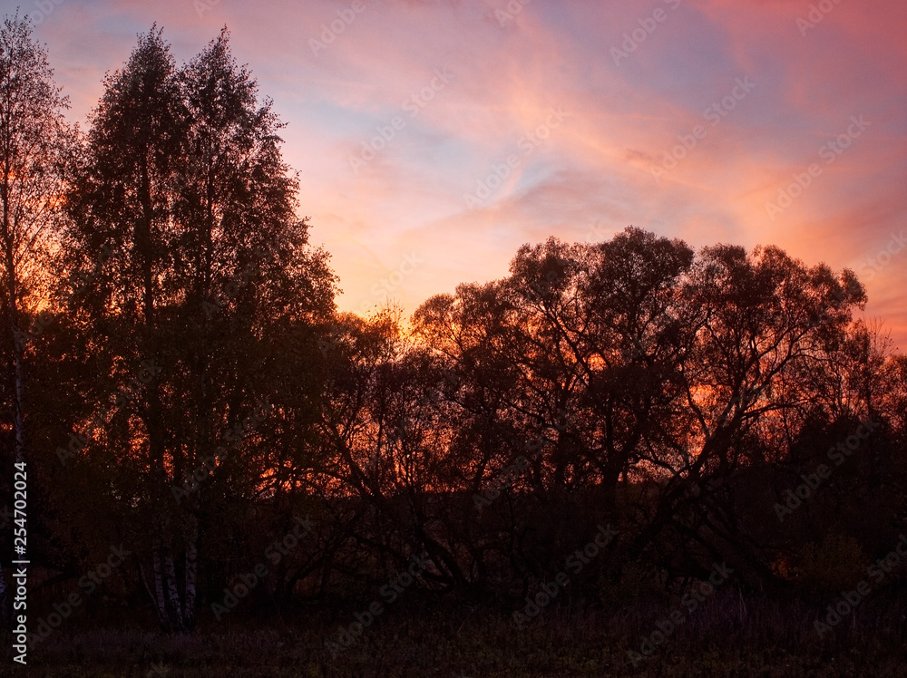 Fototapeta premium colorful sunset in the countryside in autumn