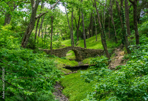 rock Irish bridge path in the forest