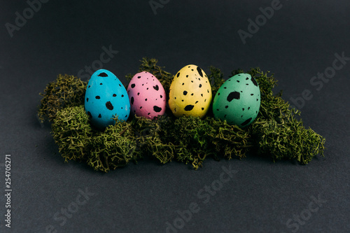 Group of colorful painted Easter quail eggson green moss isolated on black background. Easter holiday concept.