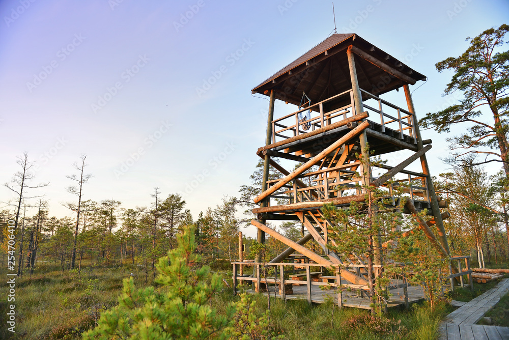 Wooden observation tower in a natural park