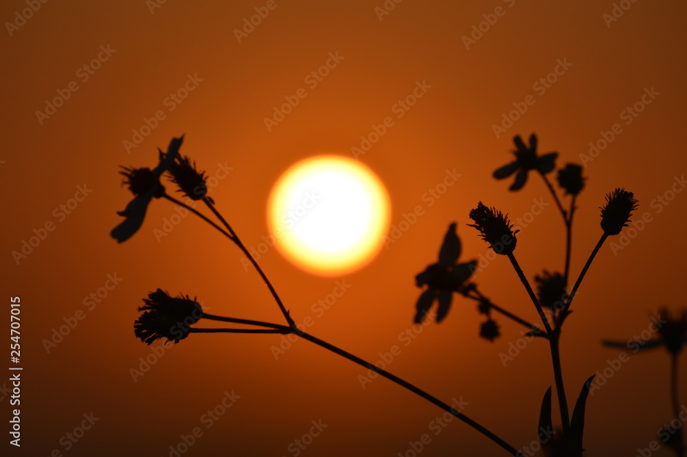 Obraz premium coucher du soleil