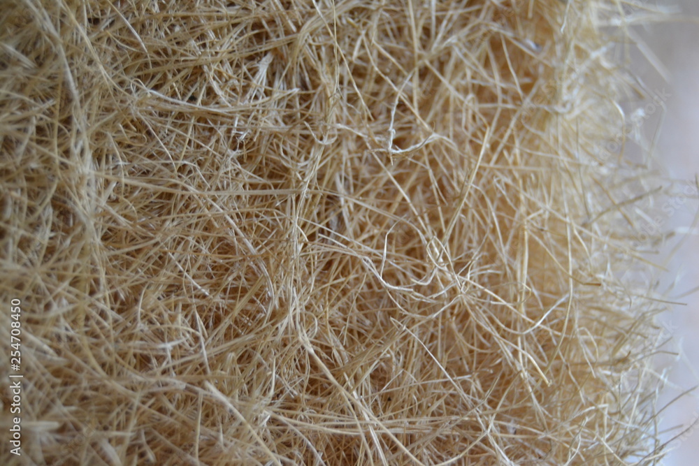 texture texture