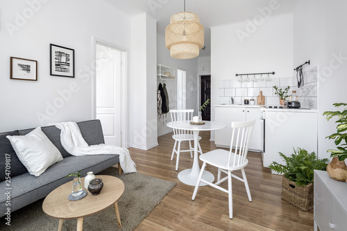 Apartment with open living room