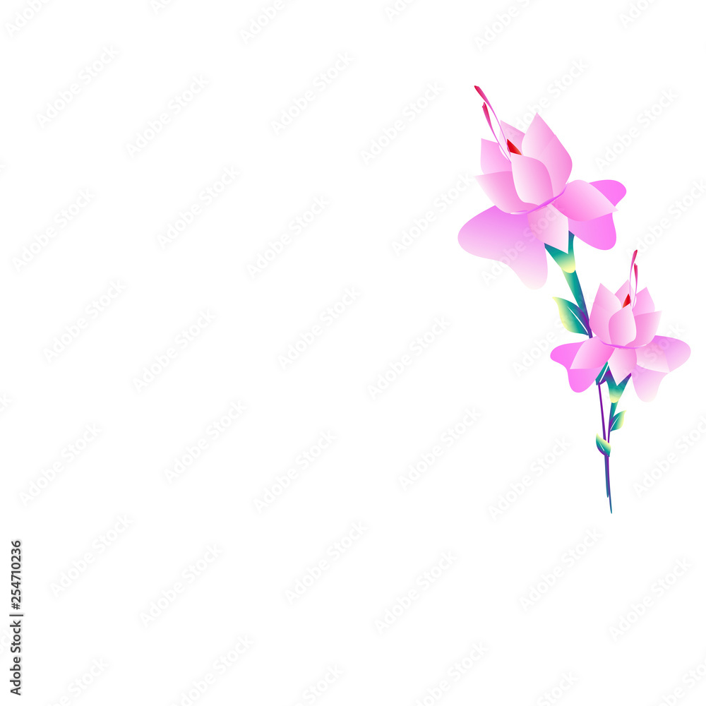 beautiful flowers beautiful flowers