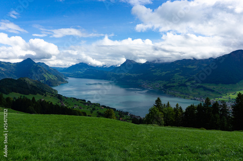 Landscape of Lake Lucerne from Bürgenstock, Switzerland with pine trees and green grass covering the mountain in cloudy blue sky day