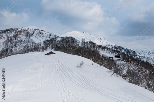 雪山の景色