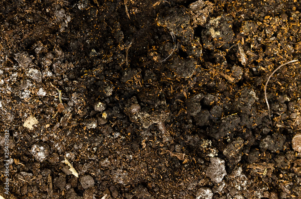 Soil texture, ground Soil texture, ground