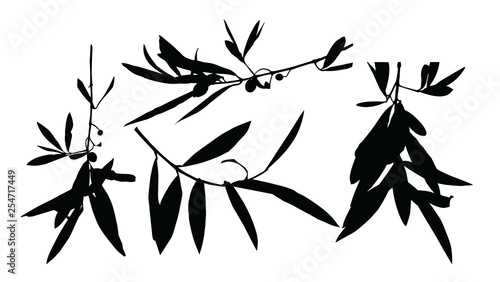 Gałązka oliwna ilustracja sylwetka