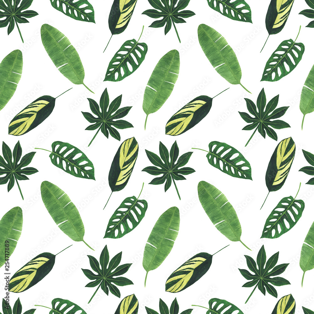 Pattern Digital paper Tropics Leaves of Monstera Palm Watercolor illustrations Botanical Decorations Design Pattern Digital paper Tropics Leaves of Monstera Palm Watercolor illustrations Botanical Decorations Design
