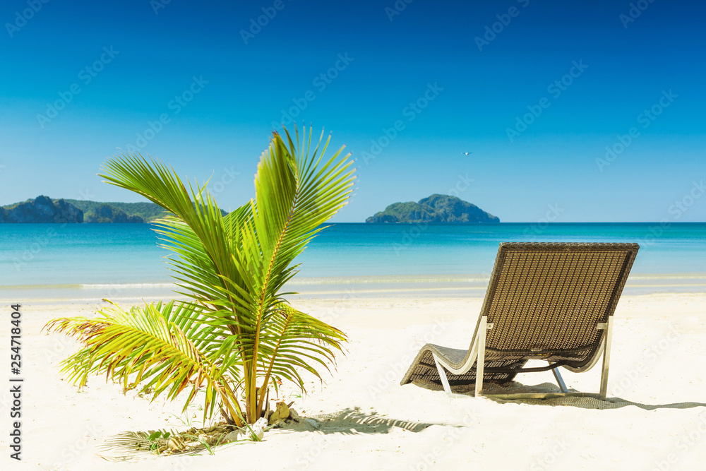 Tropical beach with sun loungers and palm tree