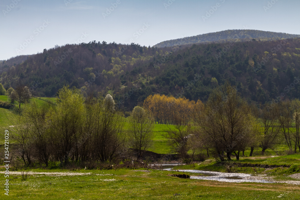 Stream flowing through green mountains Stream flowing through green mountains