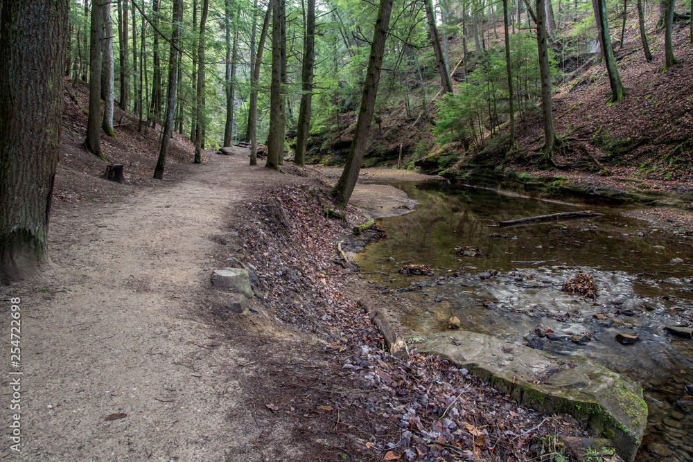 Trail Through Forest In Remote Location Trail Through Forest In Remote Location