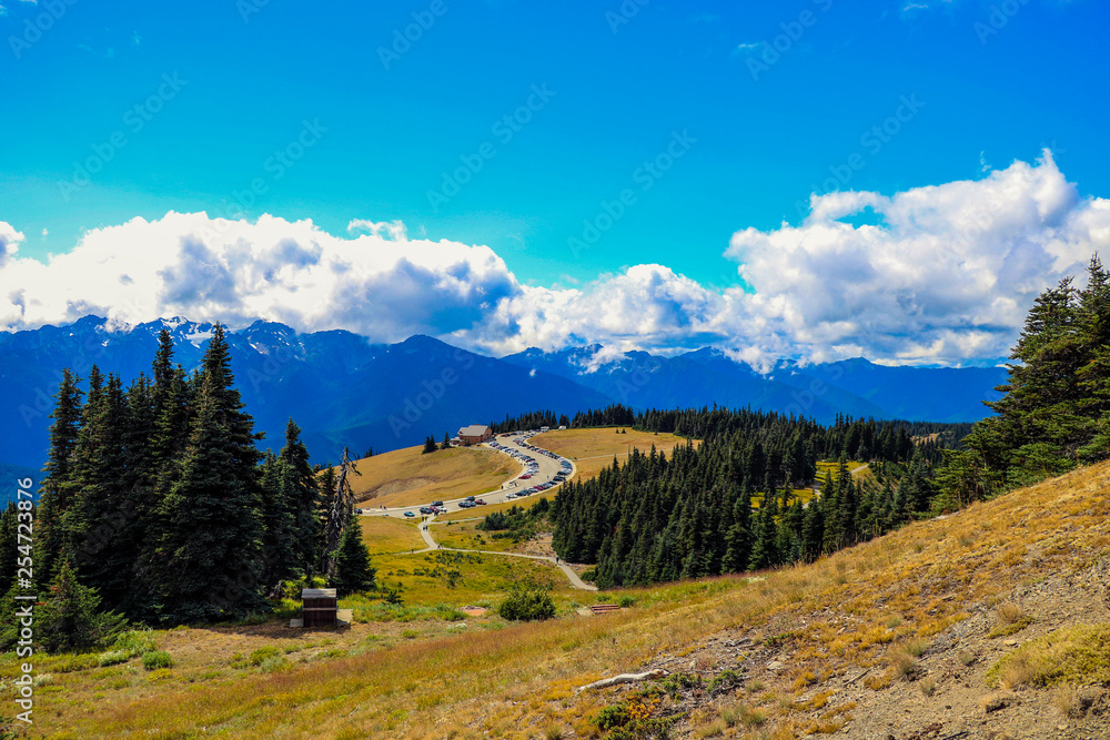 Top of hurricane ridge at Olympic National park, Washington, USA. Top of hurricane ridge at Olympic National park, Washington, USA.