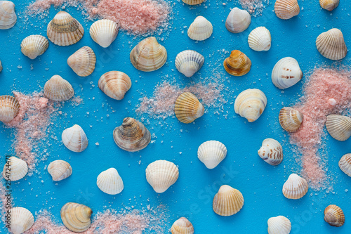 Summer background, sea shells on blue surface with sea salt, top view