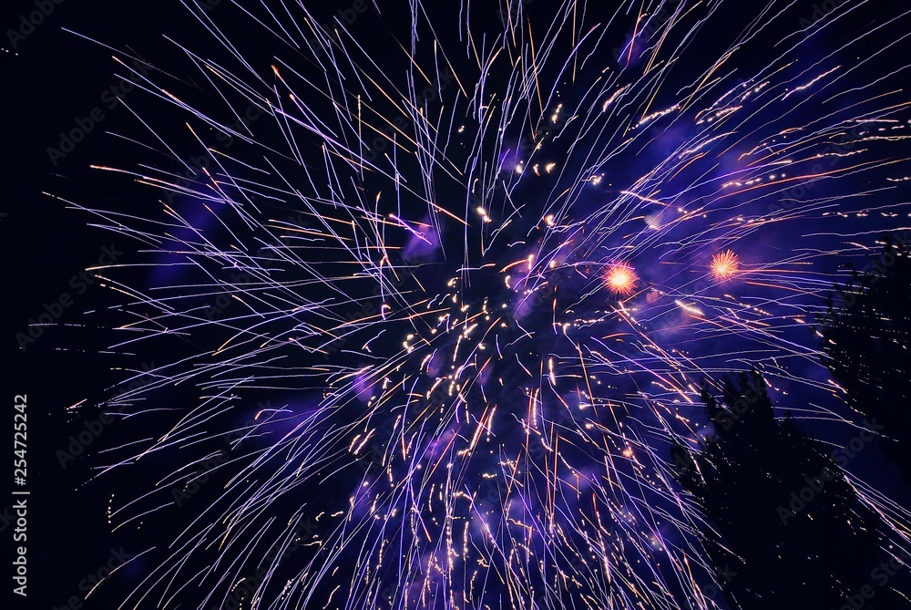 Obraz premium Fireworks.