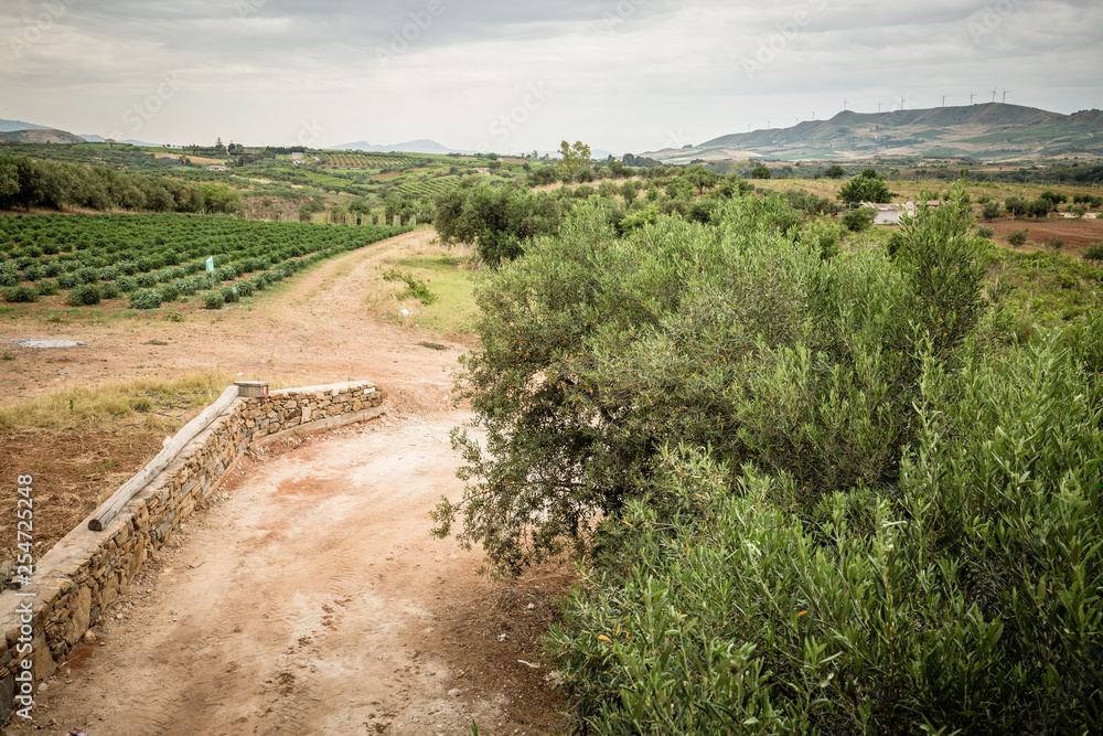 Agricultural field in Sicily