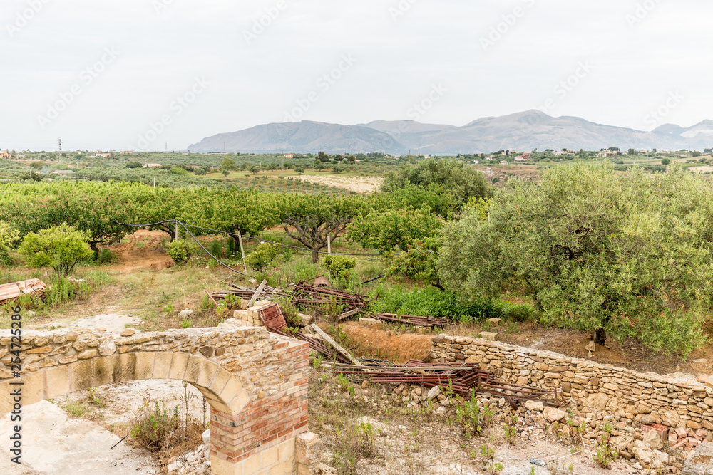 Agricultural field in Sicily