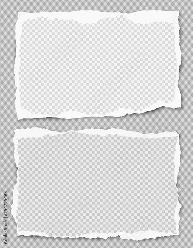 Set of white squared ripped notebook paper, torn note paper strips stuck on grey background. Vector illustration