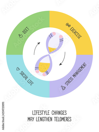 Lifestyle changes may lengthen telomeres. Diet, exercises, stress management, social life. Vector illustration photo