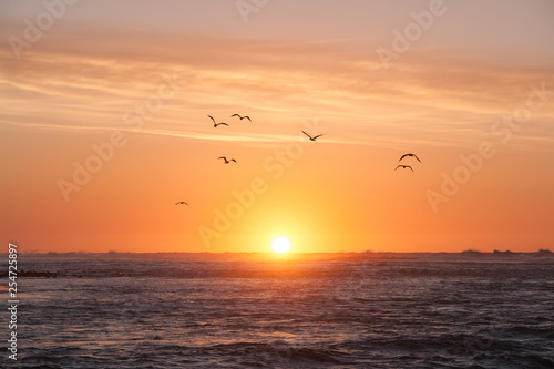 Sea sunset. Birds escort the last rays of the sun disappearing behind the water surface.