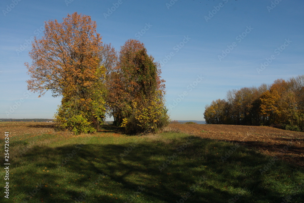 herbst herbst