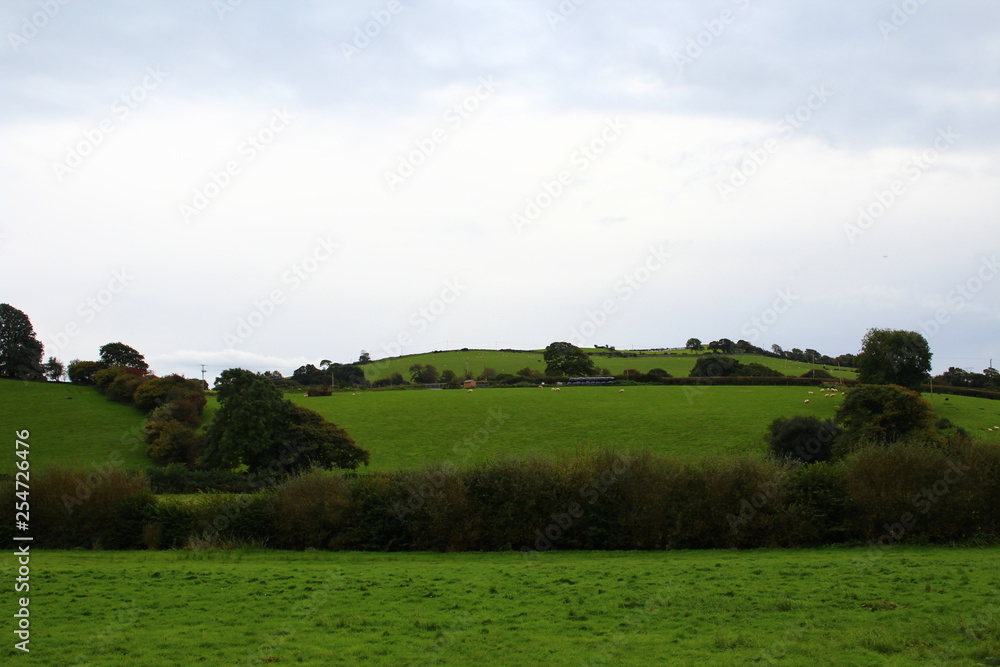 landscape with green field and blue sky landscape with green field and blue sky
