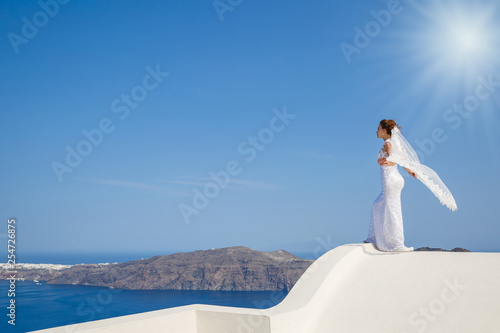 Beautiful bride stands on a high roof