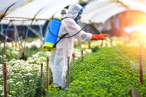 sprayed fertilizer on the flower farms. © phonix_a