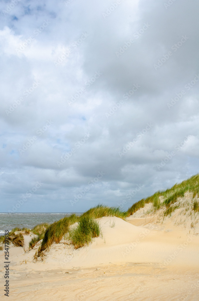 dutch dunes