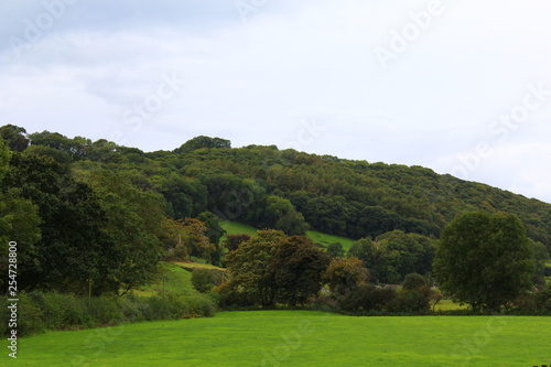 Nature Countryside Background