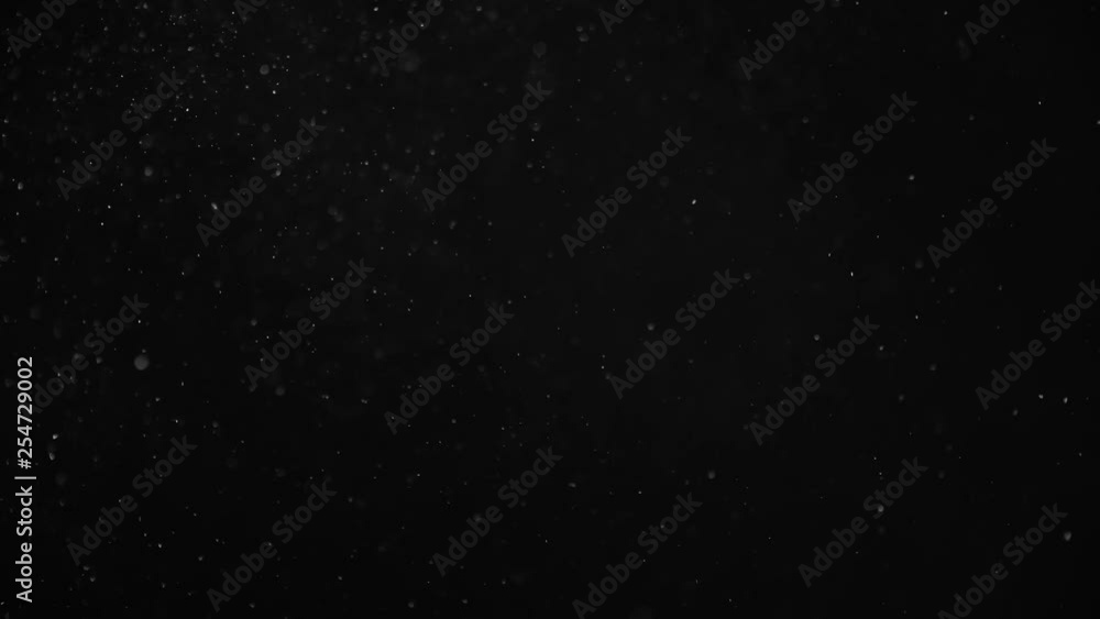 Natural Organic Dust Particles Floating On Black Background. Dynamic Dust Particles Randomly Float In Space With Fast And Slow Motion. Shimmering Glittering White Particles With Bokeh In The Air. Natural Organic Dust Particles Floating On Black Background. Dynamic Dust Particles Randomly Float In Space With Fast And Slow Motion. Shimmering Glittering White Particles With Bokeh In The Air.