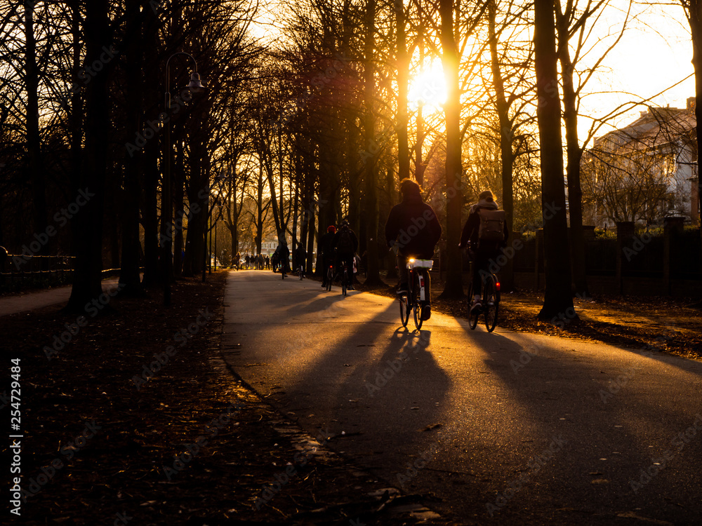 Fahrradfahrer auf der Promenade in Münster bei Sonnenuntergang