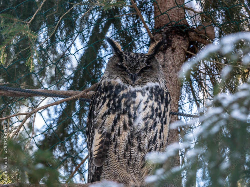 Obraz premium OLYMPUS DIGITAL CAMERA