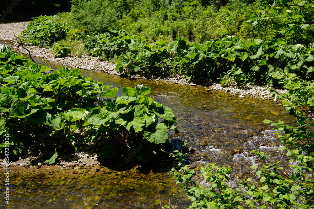 river bench in the middle of water stream river bench in the middle of water stream