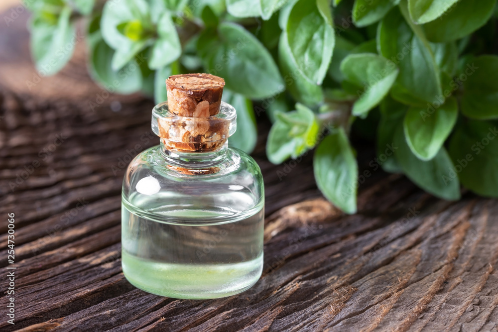 A bottle of oregano essential oil with fresh oregano A bottle of oregano essential oil with fresh oregano