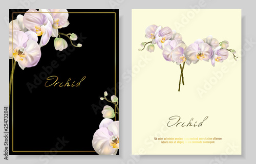 Set of Vector banners with Luxurious orchid flowers.