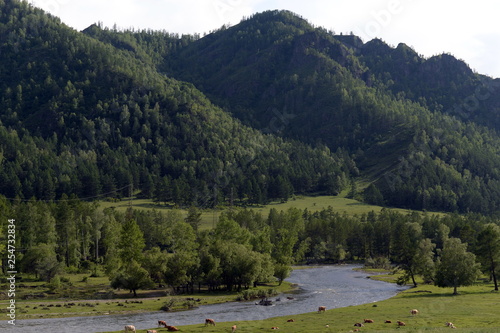  Mountain landscape near the Ursul river, Altai Republic, Siberia, Russia photo