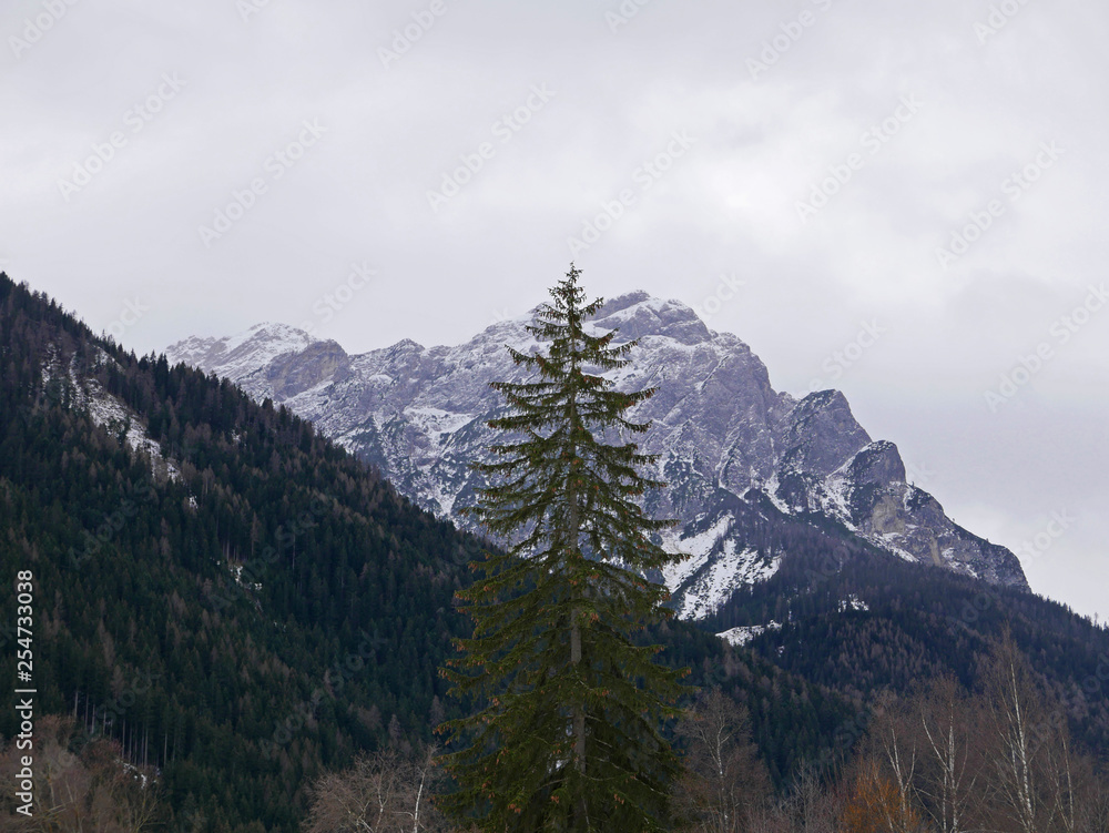 Obraz premium panorami montani innevati in inverno