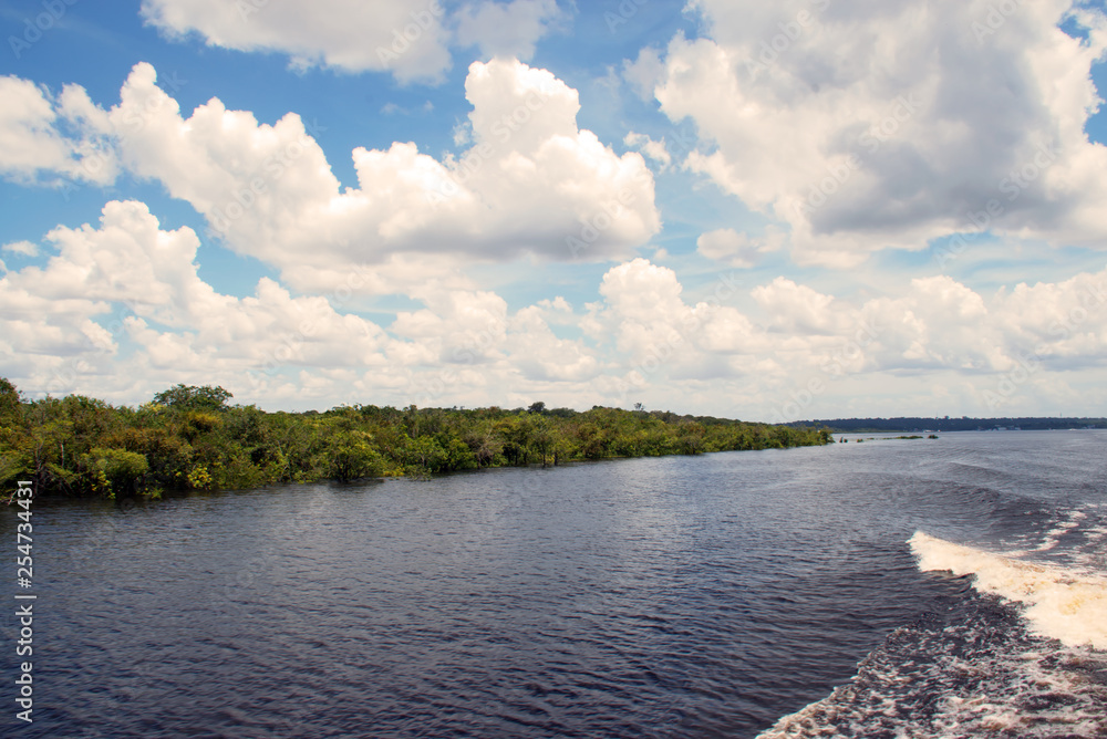 Manaus, Amazonas, Brazil. Rio Negro river and its beauties that enchant to all visitors. Amazonia, the living nature.
