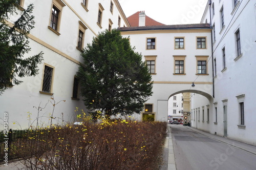 Canvas Print Street in Vienna, Austria