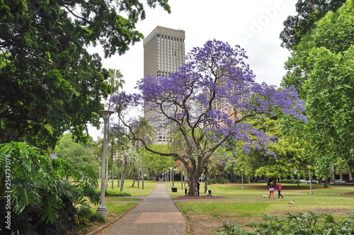 Photography Park in Sydney, Australia