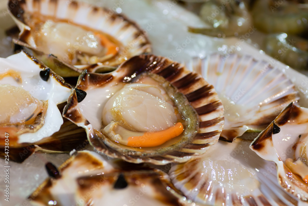 Scallops Scallops