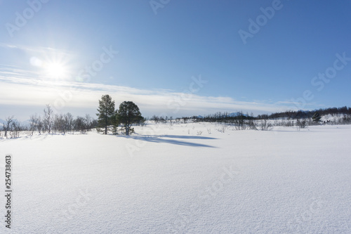 Winterlandschaft Norwegen  © luili
