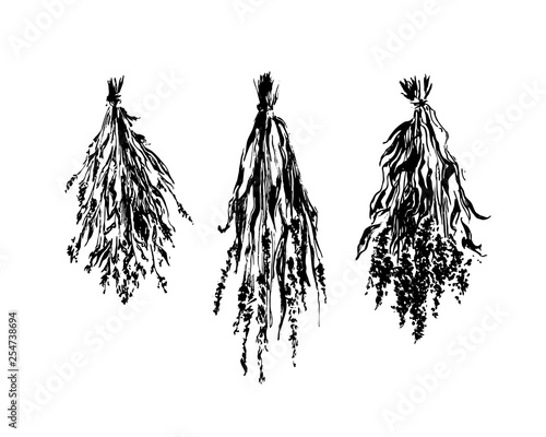 Hand drawn dried flower bunches sketch illustration. Vector black ink drawing isolated on white background. Grunge style