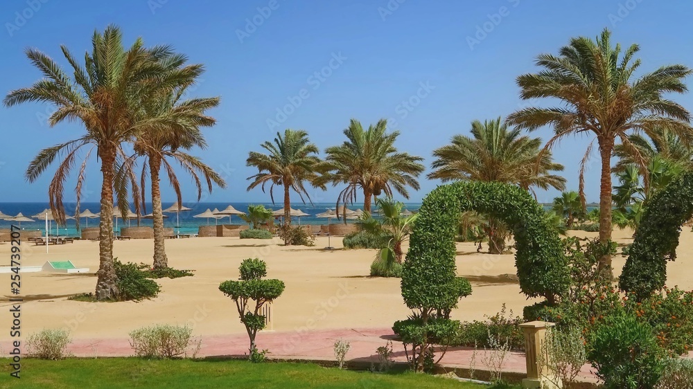 Idylic hotel beach with palm trees, Red Sea, Egypt