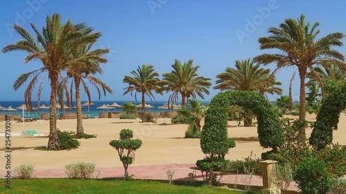 Idylic hotel beach with palm trees, Red Sea, Egypt © Tunatura