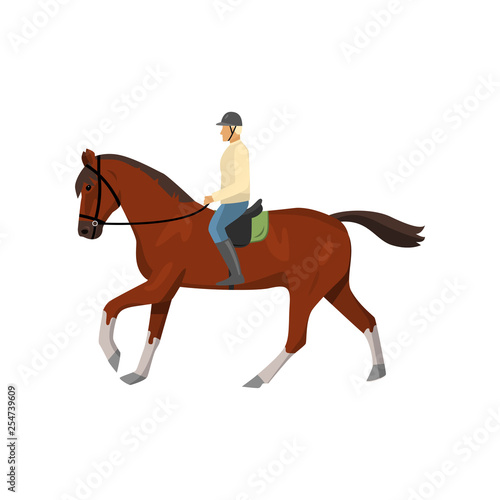 Man riding dark brown jogging horse isolated against white background © greenpicstudio